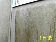 1日後