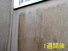 1週間後