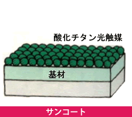 サンコート